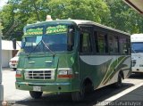 A.C. L�nea Paez (Acarigua - San Rafael) 02