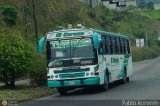 TA - Uni�n Transporte El Corozo S.A. 80