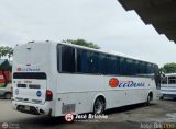 Expresos Occidente 185