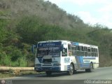 AN - Colectivos Luferpa C.A. 90, por @OttoGuttmann