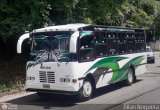 Transporte Privado Joaranny 207, por Dilan Noguera