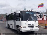 Transporte Virgen del Carmen 06