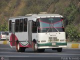 U.C. Caracas - Los Caracas 333, por Pablo Acevedo
