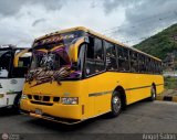 Transporte Privado Joaranny 215 por �ngel Sal�n