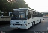 Transporte El Esfuerzo 08