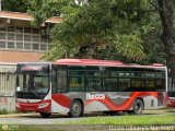 Bus CCS 1210, por David Olivares Martinez