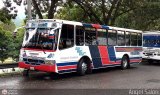 Expresos Pegamar 0014