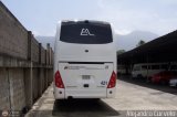 Expresos Amerlujo 421