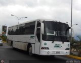 Servicios Especiales del Centro C.A. 42