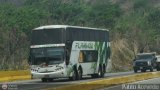 Expresos Flamingo 0050