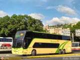 Expresos Primavera 041, por Alvin Rondn