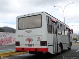 A.C. Expresos San Felipe 2012 04