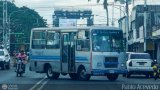 AP - Cooperativa de Transporte Libertador 90