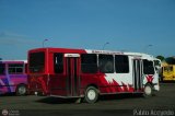 A.C. Transporte Campesino 51, por Pablo Acevedo