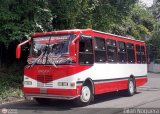 Transporte Privado Joaranny 202, por Dilan Noguera