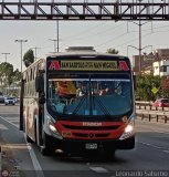 E.T. y Servicios Guadulfo Silva Carbajal (Per) 078, por Leonardo Saturno