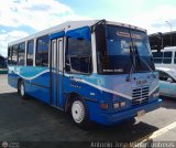 A.C. Transporte Paez 006, por Antonio Jos� Mittilo Contreras