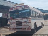 Colectivos Cachiri 49, por Sebastin Mercado
