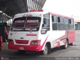 Colectivos El Pozo