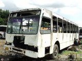 En Chiveras Abandonados Recuperacin AC0006, por Alejandro Curvelo