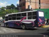 Organizacin Guaicamacuto 500, por Alfredo Montes de Oca