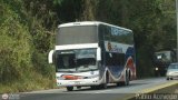 Expresos Occidente 303