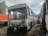 ZU - Colectivos Los Laureles C.A 19, por Javier Escalona