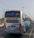 E.T. Maleo VIP (Per) 954A, por Leonardo Saturno