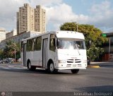 A.C. de Transporte Amigos de Ca 81