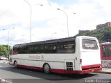 Particular 857