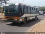 ZU - Colectivos Concepcin 029, por Abner Sarcos