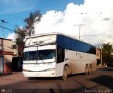 Expresos Pegamar 1038