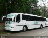 Transporte Bucaral 07, por Alejandro Curvelo