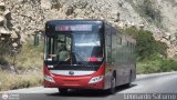 Bus Mrida 38, por Leonardo Saturno