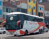 Expreso Internacional Virgen de Chapi (Per) 960, por Leonardo Saturno