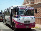 NE - Lnea Nueva Cdiz 101