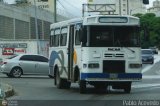 Ruta Metropolitana del Litoral Varguense 302, por Pablo Acevedo