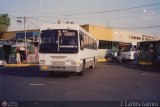 Transporte Mixto Pedro Leon Torres C.A. 99, por J. Carlos Gmez