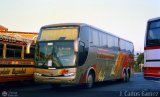 Expresos Flamingo 82