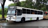 Unin Conductores Ayacucho 0007, por ngel Saln