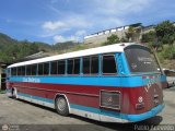 Transporte Las Delicias C.A. 29, por Pablo Acevedo
