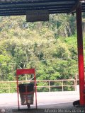 Garajes Paradas y Terminales Los-Teques