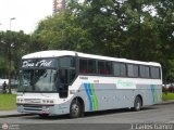 Pegasus Tur Turismo