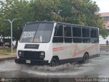 ZU - Colectivo Pomona 08, por Sebastin Mercado