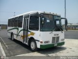 Transporte Virgen del Carmen 23