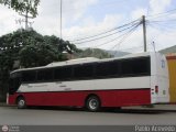 Expresos Barquisimeto 2031