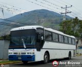 Expresos Los Andes 19