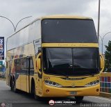 Expresos Los Llanos 338