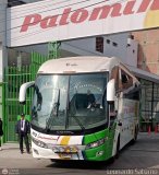 Expreso Internacional Palomino 672, por Leonardo Saturno