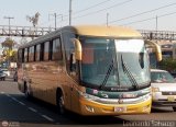 Transporte Flores Hermanos S.R.L (Per) 954, por Leonardo Saturno